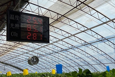 現(xiàn)代農(nóng)業(yè)